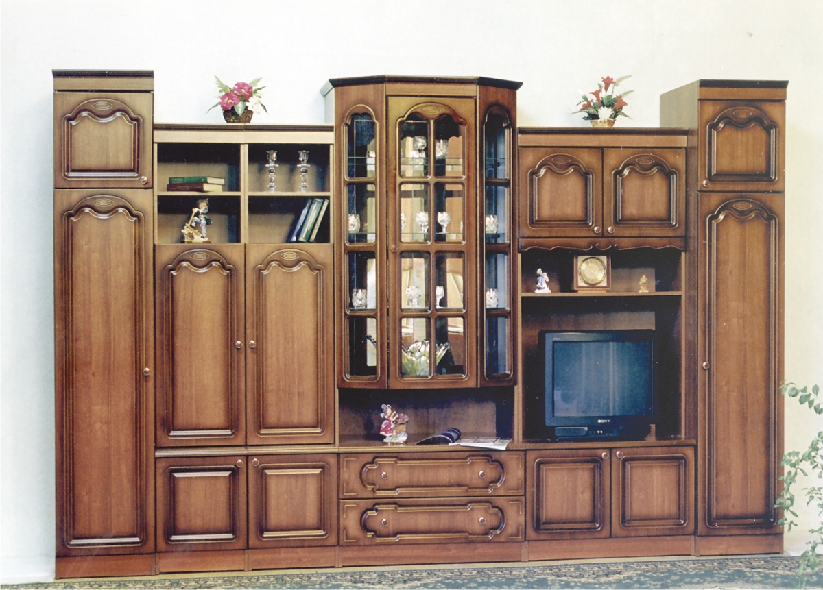 Стенка в гостиную общего назначения  системы Цнинский модуль 22